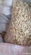 如图，寻找这两款贝壳材料的厂家，有这两款