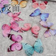 有订单需要做【如图】找可以定做这个的材料