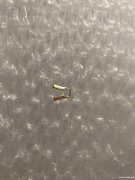 现需寻找这款配件，外径2mm，口有两颗牙