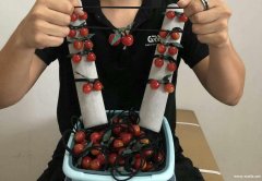 采购配件，寻找此类樱桃配件，有此配件的联