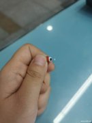 找这个玻璃眼睛厂家 ，如图，有</strong>
