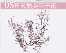 找美甲干花材料，有货的厂家速速联系我