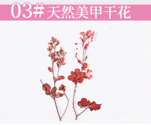 找美甲干花材料，有货的厂家速速联系我