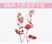找美甲干花材料，有货的厂家速速联系我</strong>