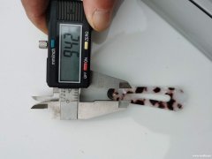 现需采购图中透明扣，寻同样品的头卡上的透