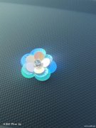 寻找这款亮片花，数量2万，有生产此款花片</strong>