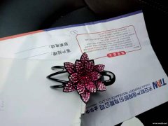 寻找生产爪夹厂家，数量多，有塑料爪夹模具