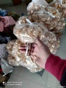 手工滴油外发，寻求手工滴油加工厂，专业做