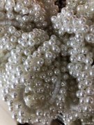 现找同款珍珠皮筋2万条！如图所示，有的电