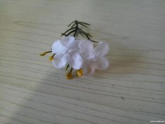 这款花枝谁家有，如图，长度大概8厘米左右