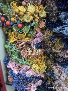 皮筋外发加工厂，如图所示，寻找专业做皮筋