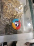 橡皮泥外发加工，寻找能做的工厂，如图所示