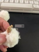这两款耳钉谁家有？如图所示，请有的打电话