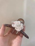 如图寻找这款夹子，有现货的请联系我