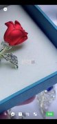 图中能做这款花瓣合金的喷漆厂，有能做的喷</strong>