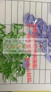 【量大】求购图片中这种蝴蝶树脂亚克力配件</strong>