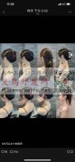 寻样图款式的夹子加工厂，求买现货，有的老</strong>