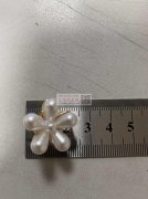 找图片这款珍珠花、合金夹子，有的请联系