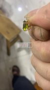 有没有会安装仿锆石的手工加工厂，找能安装</strong>