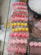 求做图中儿童发梳。发夹的工厂，要做过的，