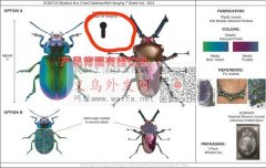 样图所示树脂寻求会做的树脂配件厂家，请有</strong>