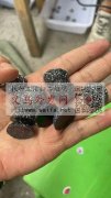 寻做配件厂家，有图里这款要做，或者谁家有</strong>
