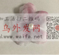 寻找做定型花的加工厂，有图这个外发做，能</strong>