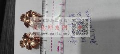 找有这款模具的压铸加工厂，有货要做，请有</strong>