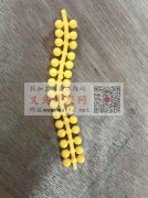 求做过图示软子弹的厂家，有 做</strong>
