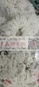 此款珍珠发圈急需大量现货产品，找有做这款</strong>