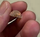 采购此款压克力配件，8X12的。有做图片