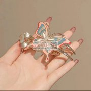 寻压铸马尾夹，图中这些皆要现货，有货的联