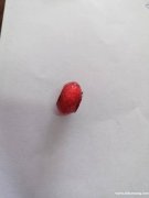 潘多拉大孔珍珠找做的厂家，要现货，有图里这款的老板联系我</strong>