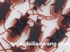 图为塑料蟑螂​，尺寸4.3 x 1.6 x 0.85 cm.</strong>
