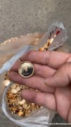 找手工抛光背面加工厂，图中这款产品外发加工，能做的加工厂联系</strong>