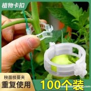 图中这个塑料植物卡扣夹，因生产需要现采购现货，有这款现货的厂</strong>