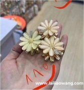 找以上发夹毛胚，每款1200个 ，有这几款夹子毛胚的联系(微</strong>