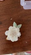这款花有吗，找做这个的厂家，有货的老板联系</strong>