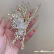 这款发夹毛胚谁家有，找做这款毛胚工厂，有这款的联系</strong>