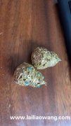 找能做图片这款产品的点钻加工厂，能点这款产品的加工厂联系</strong>