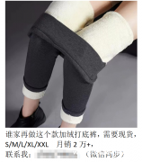 求寻图中这款加绒打底裤，需要现货，S/M/L/XL/XXL </strong>