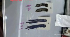 找粘链条加工厂，有会粘这款的加工厂联系</strong>