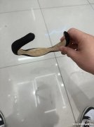 样图这个波浪色底箍配件有嘛，有这个配件的厂家联系我，微信同号</strong>