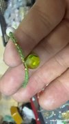 有这种玻璃水滴的联系我，罗马饰品</strong>