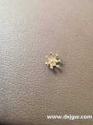 如图合金的花心，谁家有