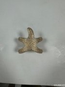 寻找做如图这几款的压铸加工厂