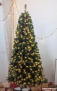 采购圣诞树，大小1.8 米
