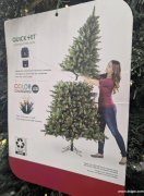 采购圣诞树，大小1.8 米